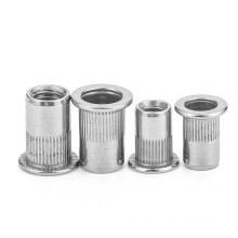 Wholesale High Quality Stainless Steel Blind Pop Rivet Nut Riveted Nuts Riveted Nuts